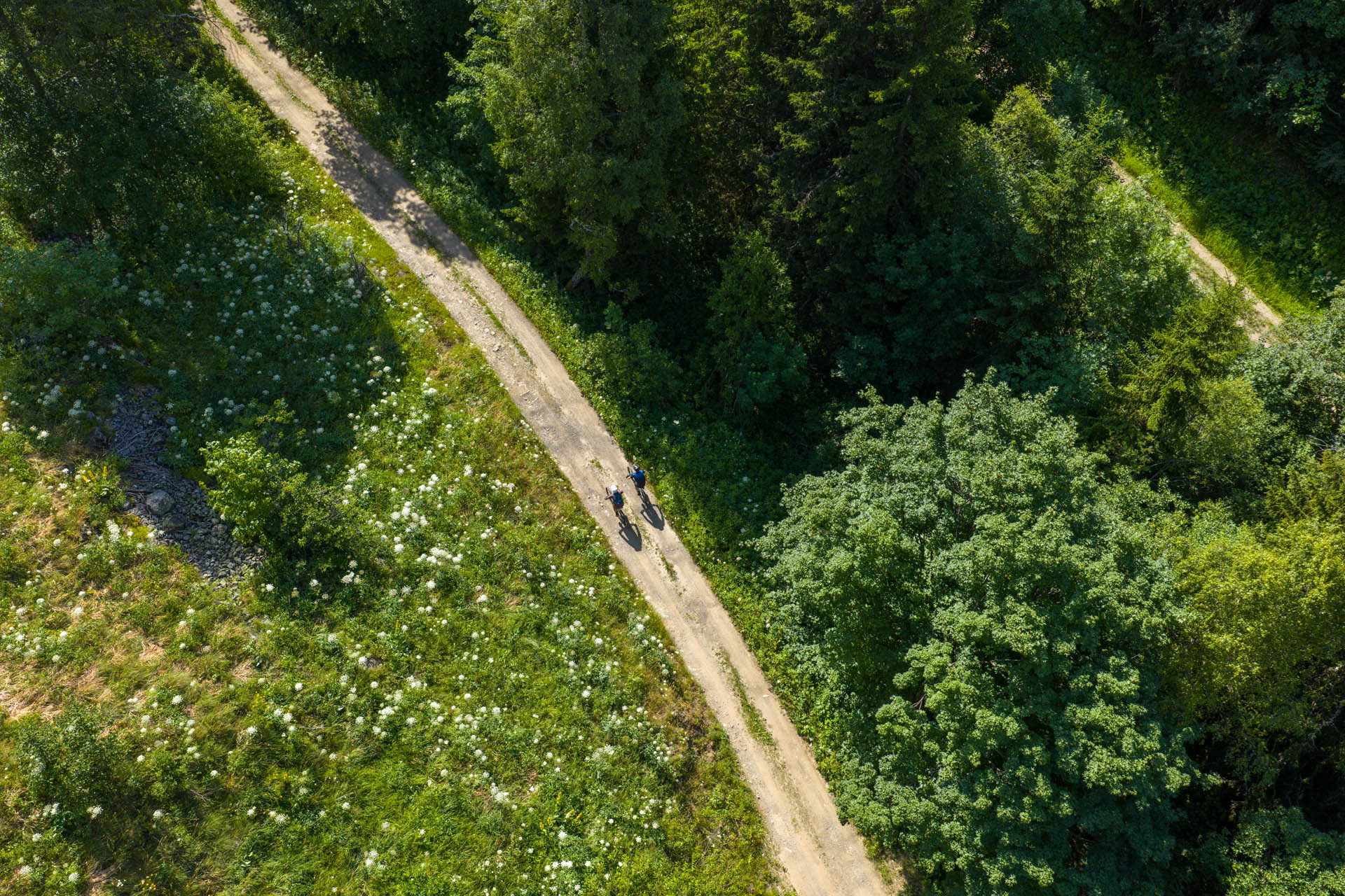 ViaVercors : l’itinéraire idéal pour découvrir le Vercors autrement