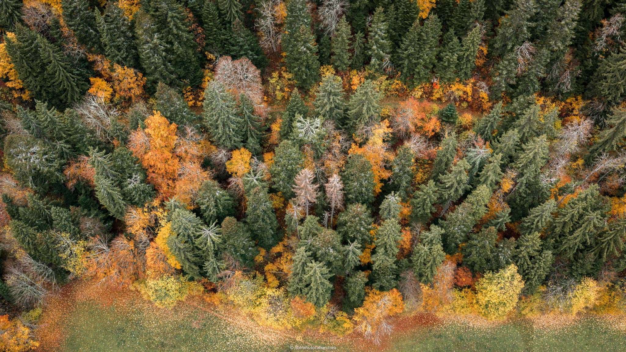 Vacances de la Toussaint 2026 à Corrençon-en-Vercors en famille