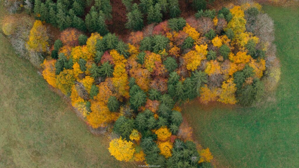 Vacances de la Toussaint 2026 à Corrençon-en-Vercors en famille