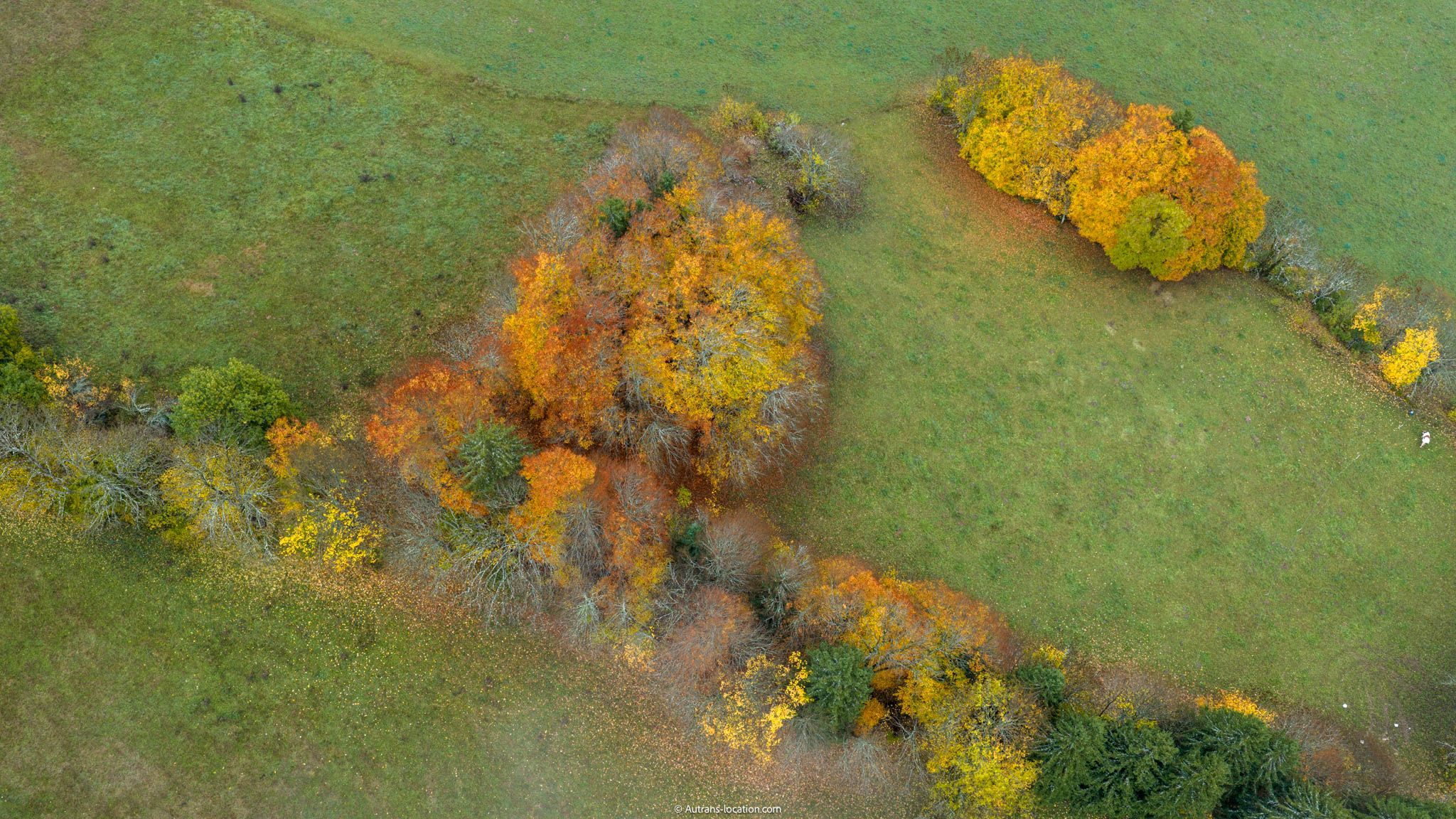 Sentier en sous-bois aux couleurs d'automne