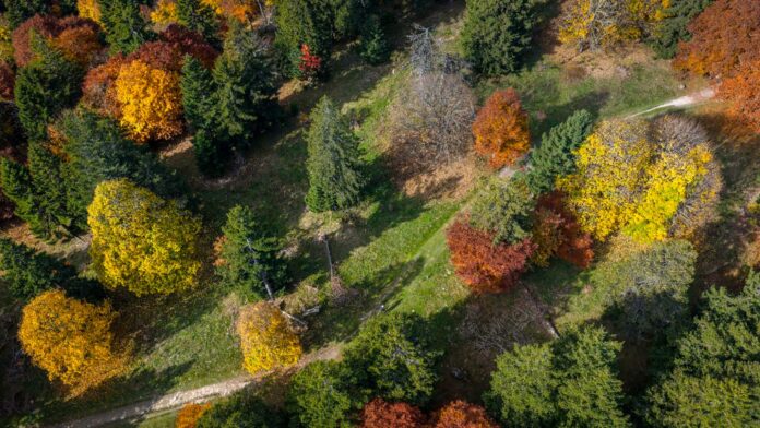 Vacances de la Toussaint 2026 à Corrençon-en-Vercors en famille